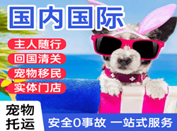 牡丹江海浪机场快递国际宠物托运 【国